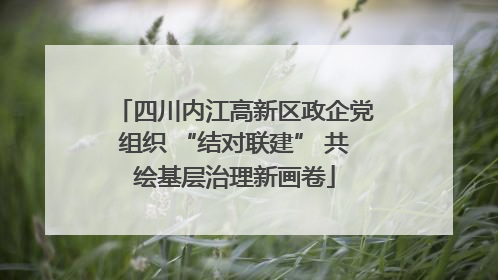 四川内江高新区政企党组织 “结对联建” 共绘基层治理新画卷