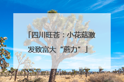四川旺苍：小花菇激发致富大“蘑力”