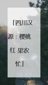 四川汉源：樱桃红 果农忙
