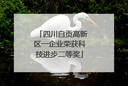 四川自贡高新区一企业荣获科技进步二等奖