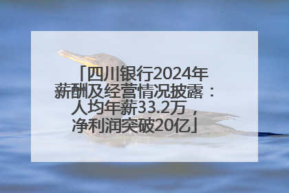 四川银行2024年薪酬及经营情况披露：人均年薪33.2万，净利润突破20亿