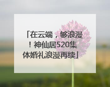 在云端，够浪漫！神仙居520集体婚礼浪漫再续