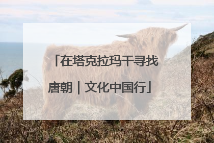 在塔克拉玛干寻找唐朝｜文化中国行