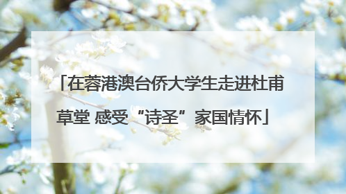 在蓉港澳台侨大学生走进杜甫草堂 感受“诗圣”家国情怀