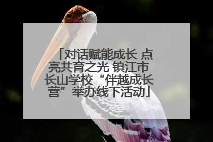 对话赋能成长 点亮共育之光 镇江市长山学校“伴越成长营”举办线下活动