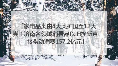 家电品类由8大类扩围至12大类！济南各领域消费品以旧换新直接带动消费157.2亿元