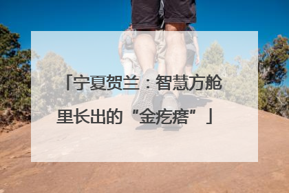 宁夏贺兰：智慧方舱里长出的“金疙瘩”