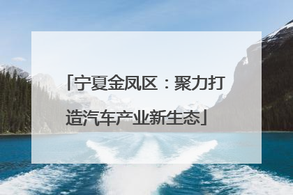 宁夏金凤区：聚力打造汽车产业新生态