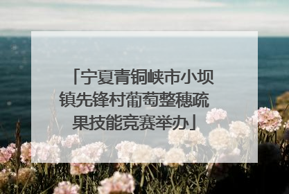 宁夏青铜峡市小坝镇先锋村葡萄整穗疏果技能竞赛举办