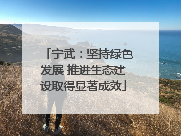 宁武：坚持绿色发展 推进生态建设取得显著成效
