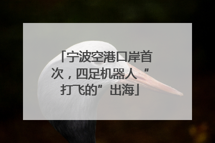 宁波空港口岸首次，四足机器人“打飞的”出海