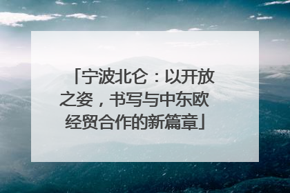 宁波北仑：以开放之姿，书写与中东欧经贸合作的新篇章