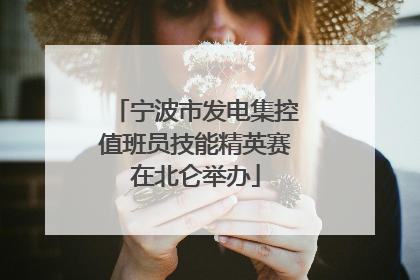 宁波市发电集控值班员技能精英赛在北仑举办