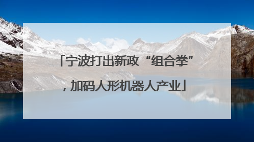 宁波打出新政“组合拳”，加码人形机器人产业