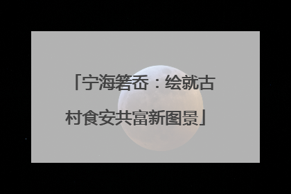 宁海箬岙：绘就古村食安共富新图景
