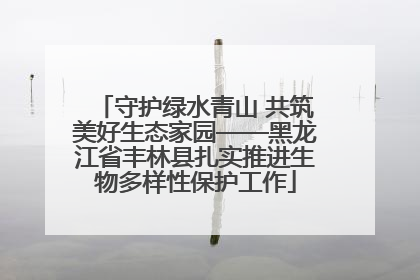 守护绿水青山 共筑美好生态家园——黑龙江省丰林县扎实推进生物多样性保护工作