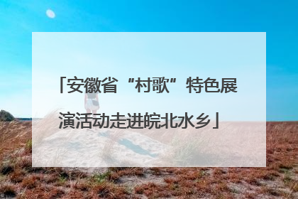 安徽省“村歌”特色展演活动走进皖北水乡