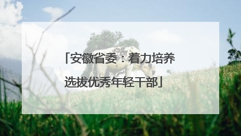 安徽省委：着力培养选拔优秀年轻干部