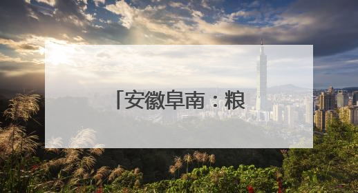 安徽阜南：粮食收储更智能，小麦入仓“不落地”（组图）