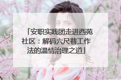 安职实践团走进西苑社区：解码六尺巷工作法的温情治理之道