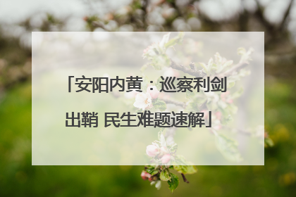 安阳内黄：巡察利剑出鞘 民生难题速解
