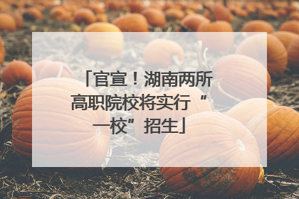 官宣！湖南两所高职院校将实行“一校”招生