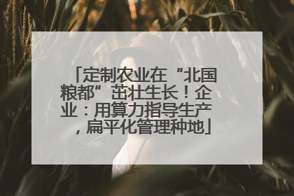 定制农业在“北国粮都”茁壮生长！企业：用算力指导生产，扁平化管理种地