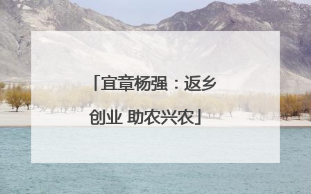 宜章杨强：返乡创业 助农兴农