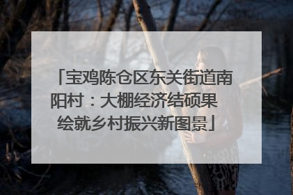 宝鸡陈仓区东关街道南阳村：大棚经济结硕果 绘就乡村振兴新图景
