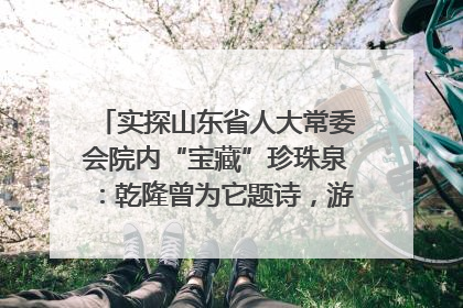 实探山东省人大常委会院内“宝藏”珍珠泉：乾隆曾为它题诗，游客无需预约免费游览