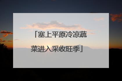 塞上平原冷凉蔬菜进入采收旺季