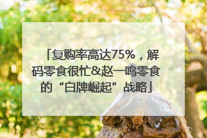 复购率高达75%，解码零食很忙&赵一鸣零食的“白牌崛起”战略