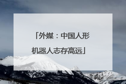 外媒：中国人形机器人志存高远