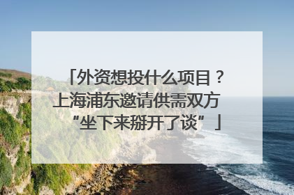 外资想投什么项目？上海浦东邀请供需双方“坐下来掰开了谈”
