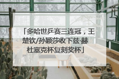 多哈世乒赛三连冠，王楚钦/孙颖莎收下兹·赫杜塞克杯复刻奖杯