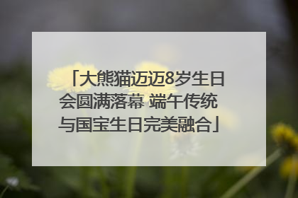 大熊猫迈迈8岁生日会圆满落幕 端午传统与国宝生日完美融合