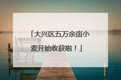 大兴区五万余亩小麦开始收获啦！
