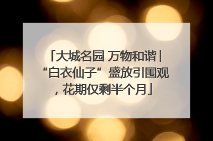 大城名园 万物和谐│“白衣仙子”盛放引围观，花期仅剩半个月