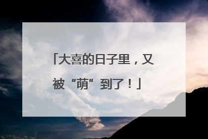 大喜的日子里，又被“萌”到了！
