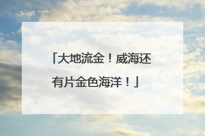 大地流金！威海还有片金色海洋！