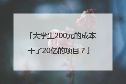 大学生200元的成本干了20亿的项目？