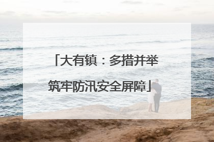 大有镇：多措并举筑牢防汛安全屏障