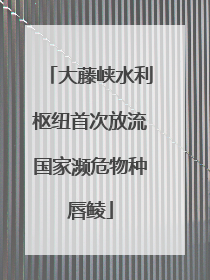 大藤峡水利枢纽首次放流国家濒危物种唇鲮