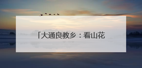 大通良教乡：看山花烂漫 品砂罐美食