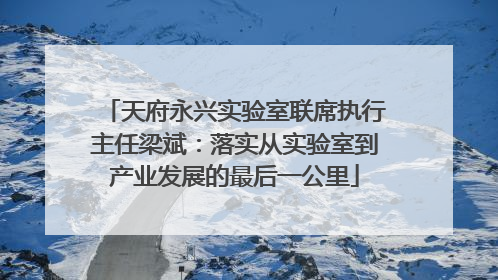 天府永兴实验室联席执行主任梁斌：落实从实验室到产业发展的最后一公里