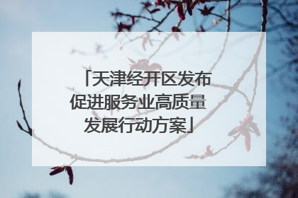 天津经开区发布促进服务业高质量发展行动方案
