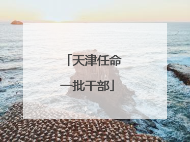 天津任命一批干部