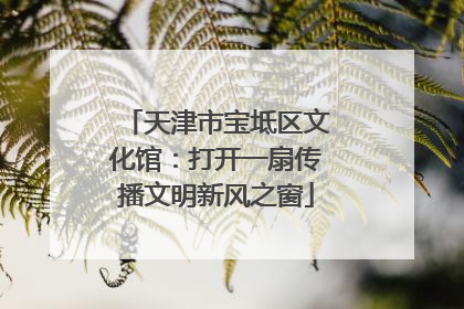 天津市宝坻区文化馆：打开一扇传播文明新风之窗