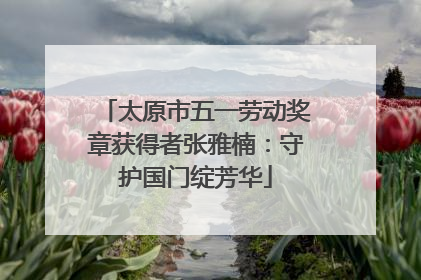 太原市五一劳动奖章获得者张雅楠：守护国门绽芳华
