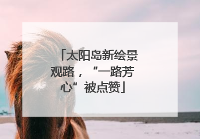 太阳岛新绘景观路，“一路芳心”被点赞